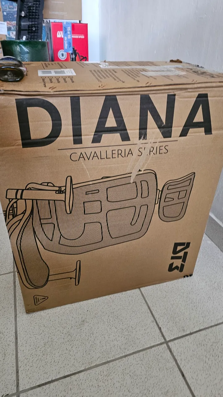 Cadeira Gamer DT3 Sports Diana Cavalleria Series