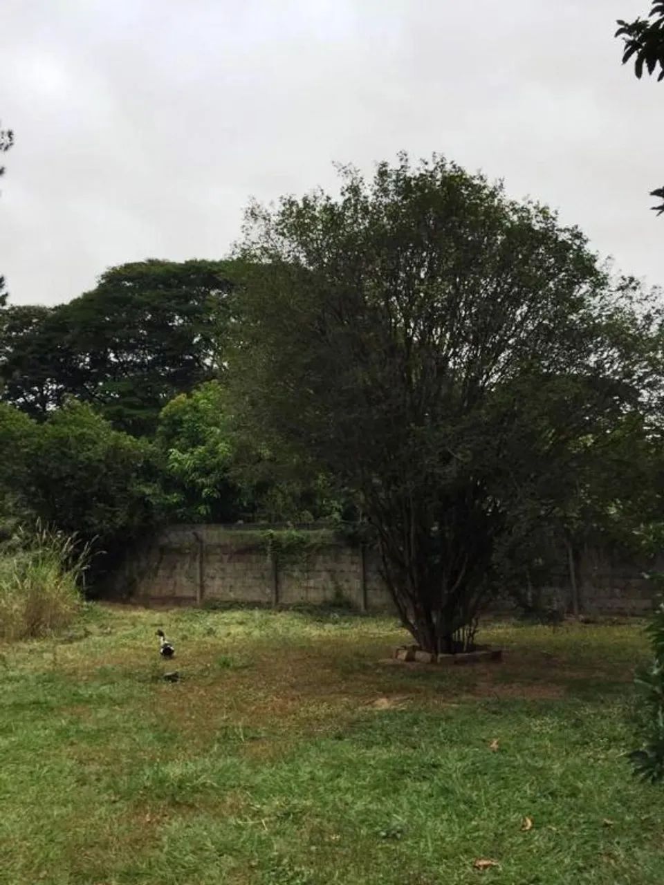 Barão Geraldo - Chácaras Santa Margarida ( Guará) terreno de 1.830m2 - Foto 5