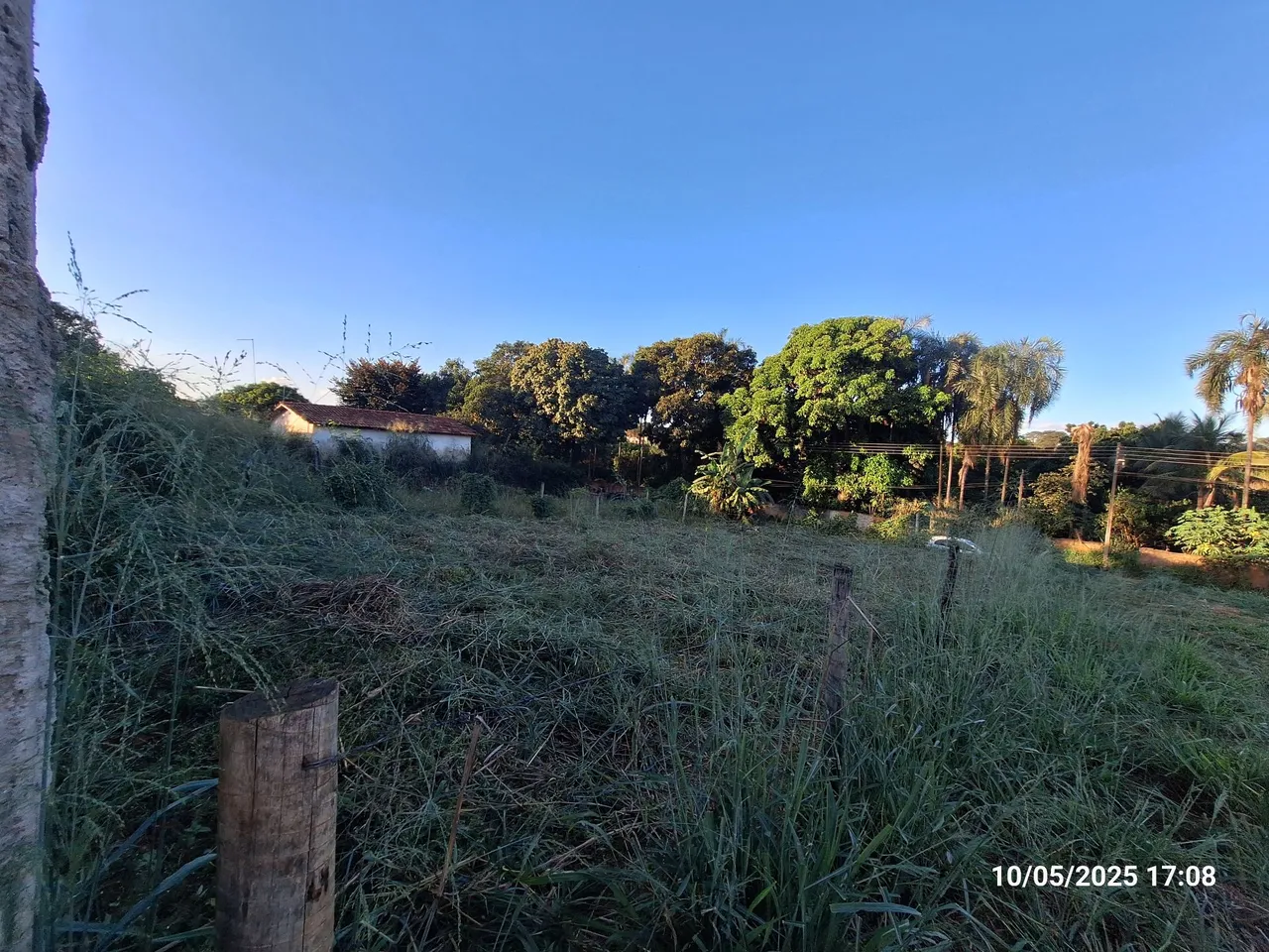 Lote jardim Miramar