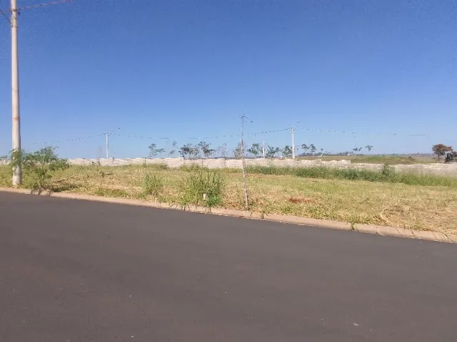 Terreno 300 m² | Jardins Ribeirão
