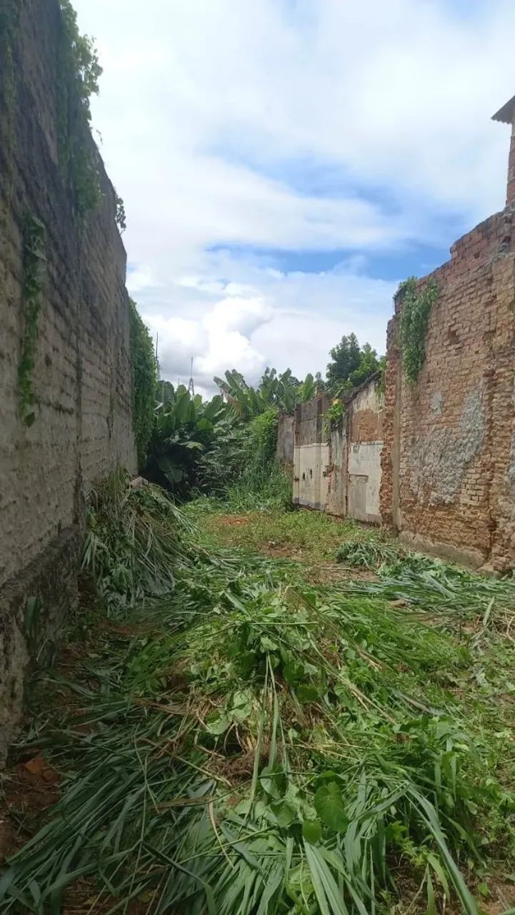 Terreno Lapinha liberdade  - Foto 3