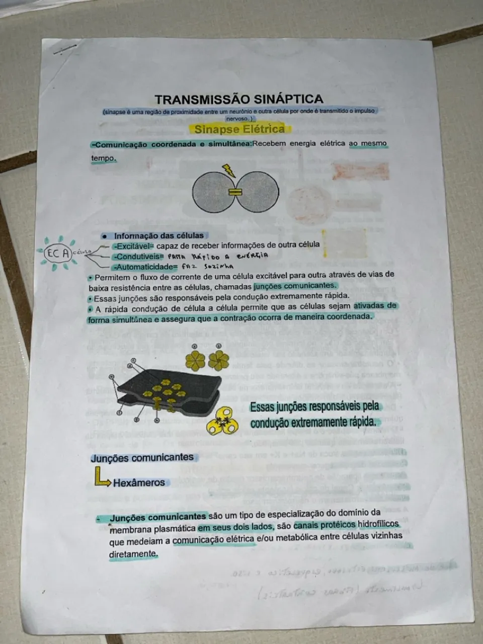 Resumos de fisiologia