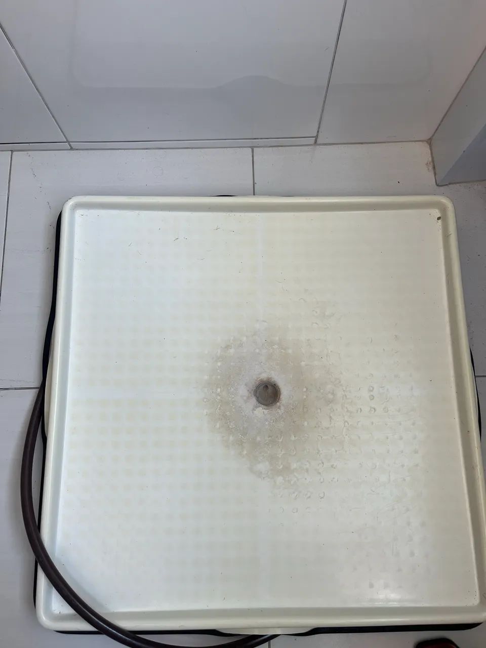 Weasy Cão | Banheiro inteligente para cachorro