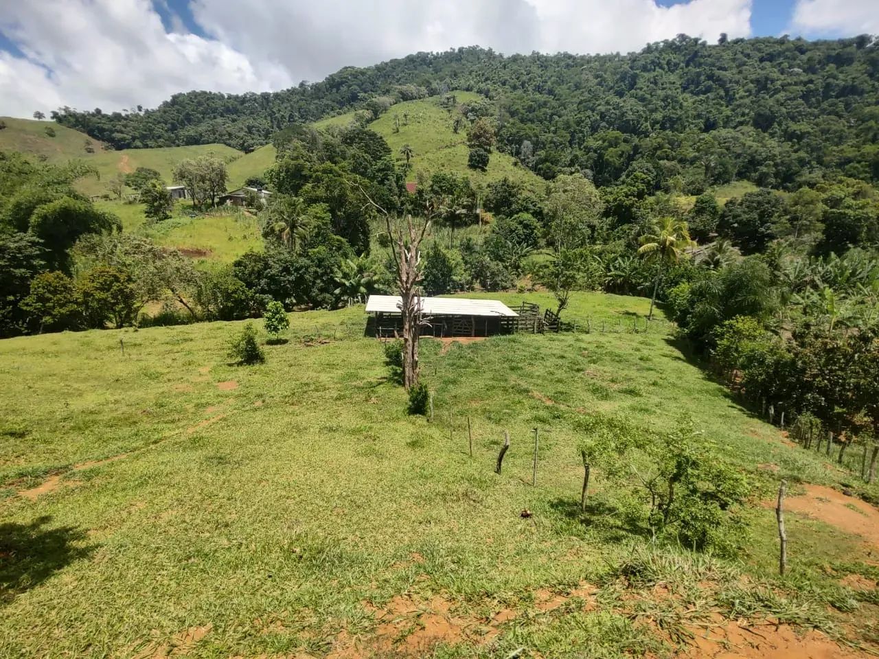 Sítio em Pedra Mulata, Viana. - Foto 2