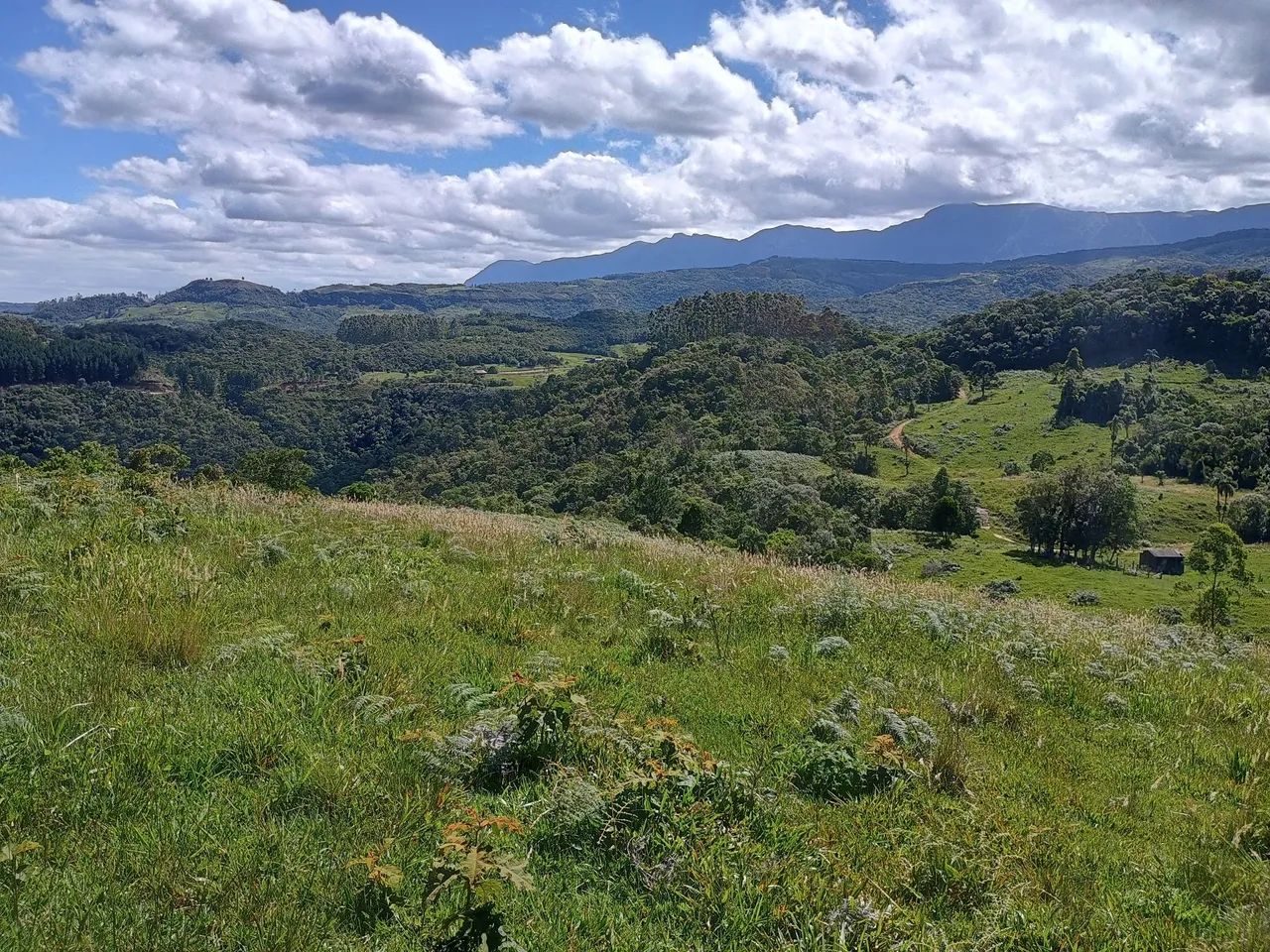 ANITÁPOLIS/SC - Oportunidade de investimento próximo a Serra geral - Foto 4