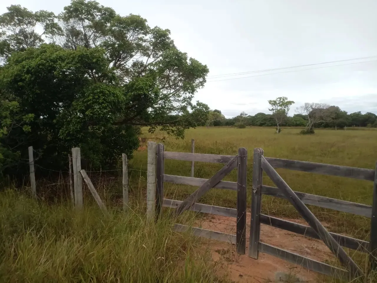Imóvel para venda tem 2500 m2 na Penha poucos metros do asfalto - Quissamã - RJ