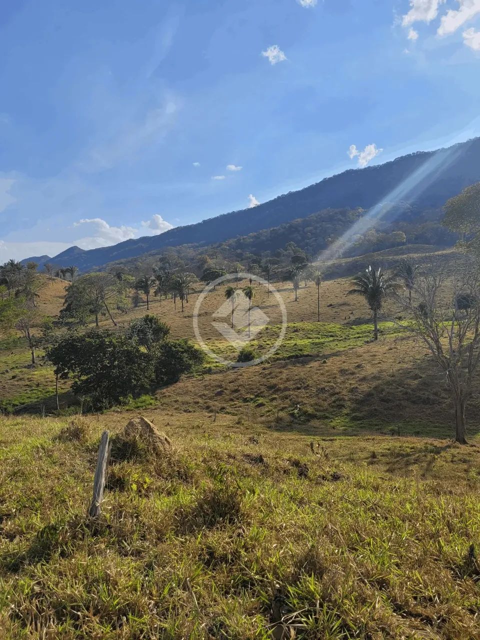 Sítio 91ha região de Cáceres-MT R$ 2.000.000,00 codigo: 53474 - Foto 6