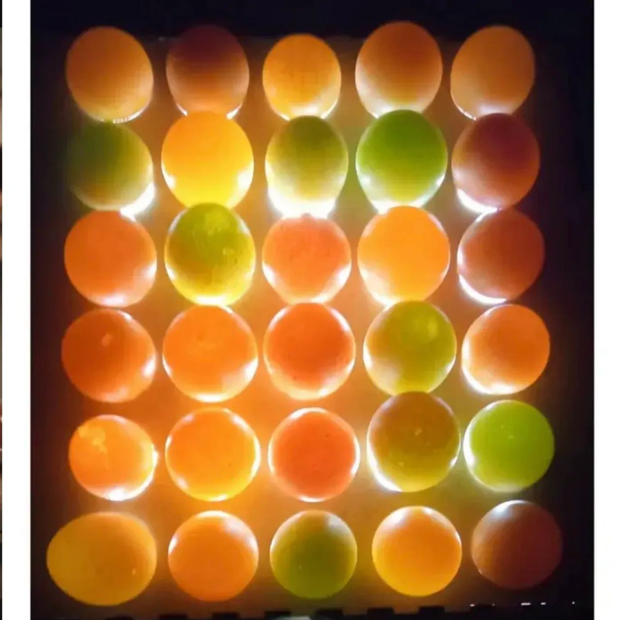Ovoscópio para 30 ovos NOVO - Foto 5