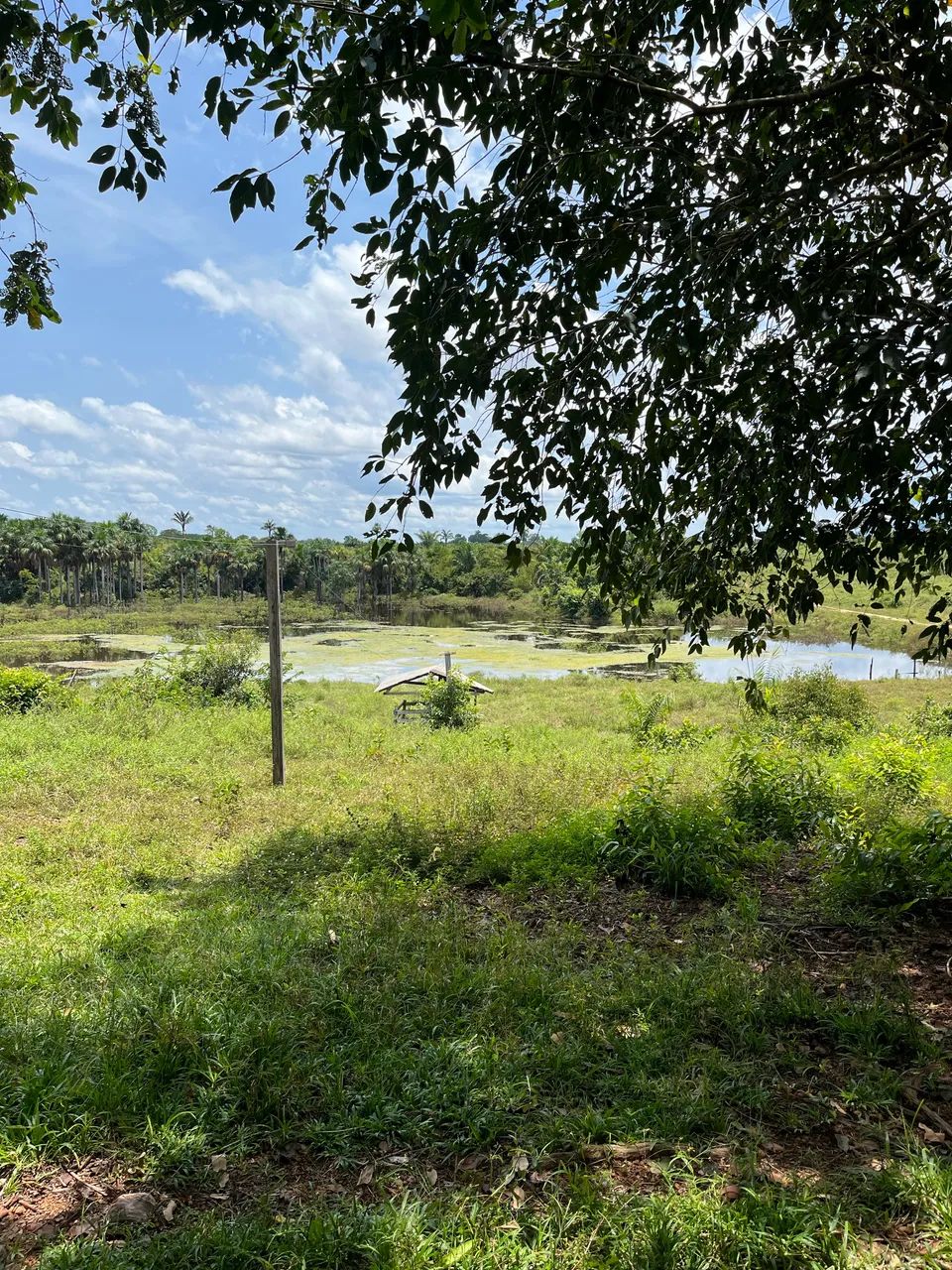 Fazenda à venda 