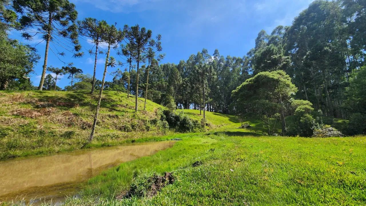 Belíssimo Sítio Para Empreendimento ou Moradia - Foto 5