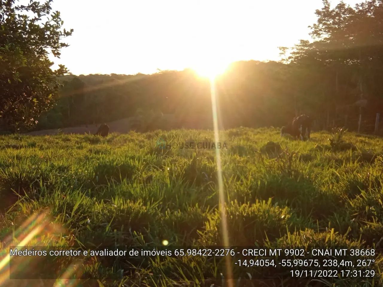 sítio de 17 hectares na estrada do Manso 58 km - Foto 2