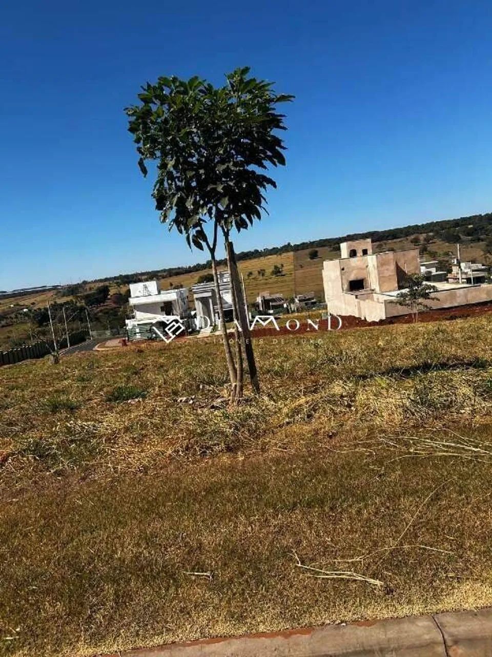 Oportunidade no Terras Alpha! - Foto 4