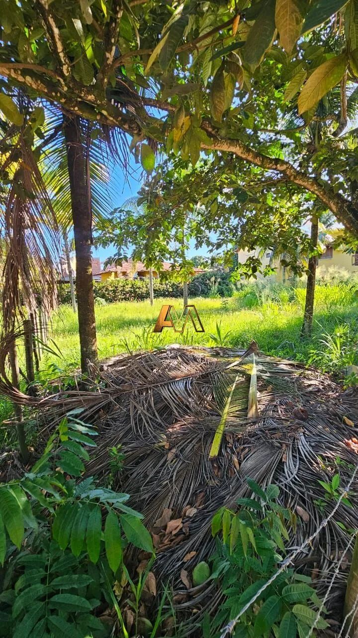 TERRENO CERCADO EM BARRA GRANDE - Foto 2