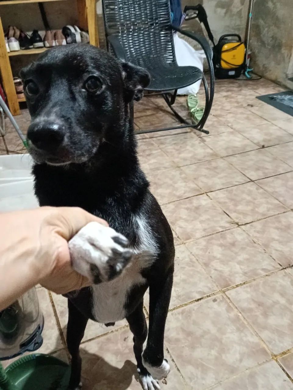 Doação  - Foto 2