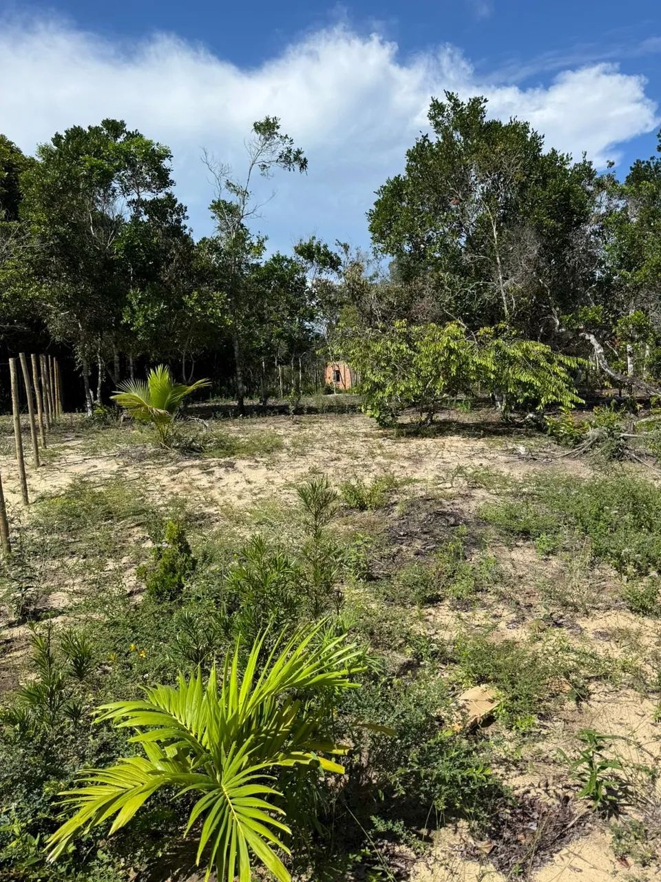 Terreno em Arraial d`Ajuda - Foto 5
