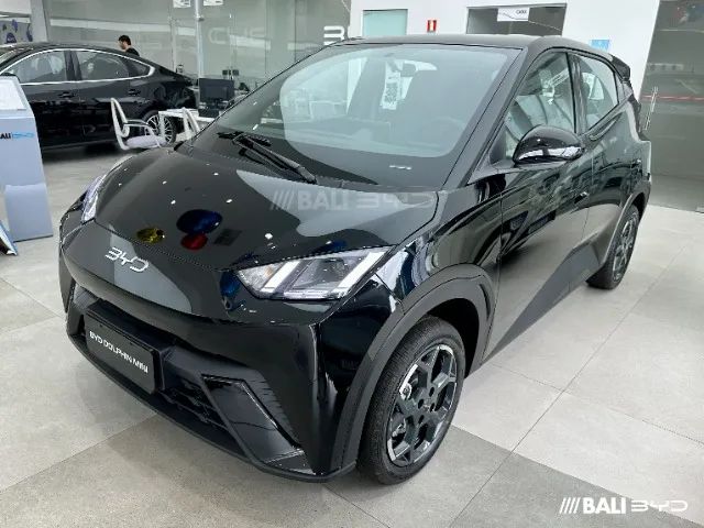 BYD Dolphin Mini GL 2027 - Foto 2