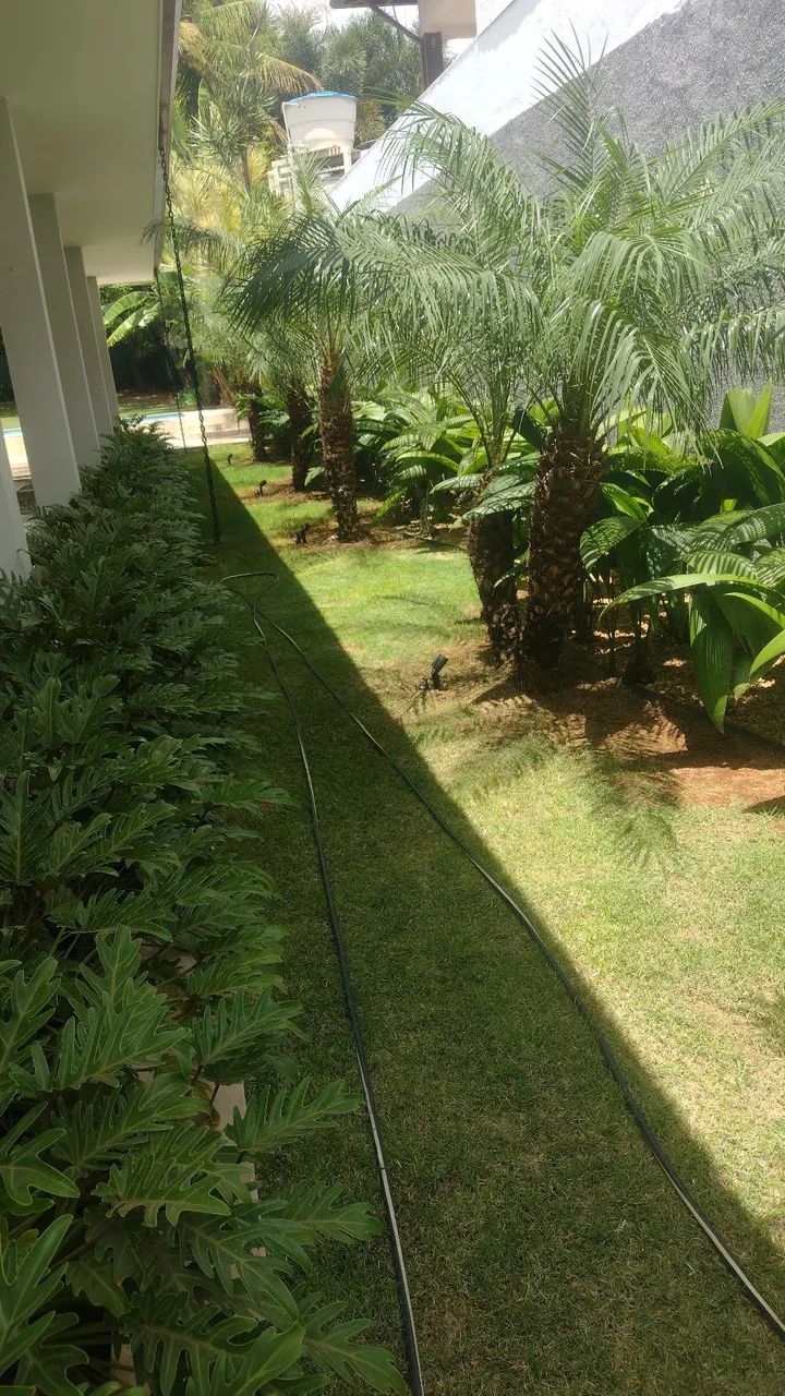 Jardineiro  - Foto 3