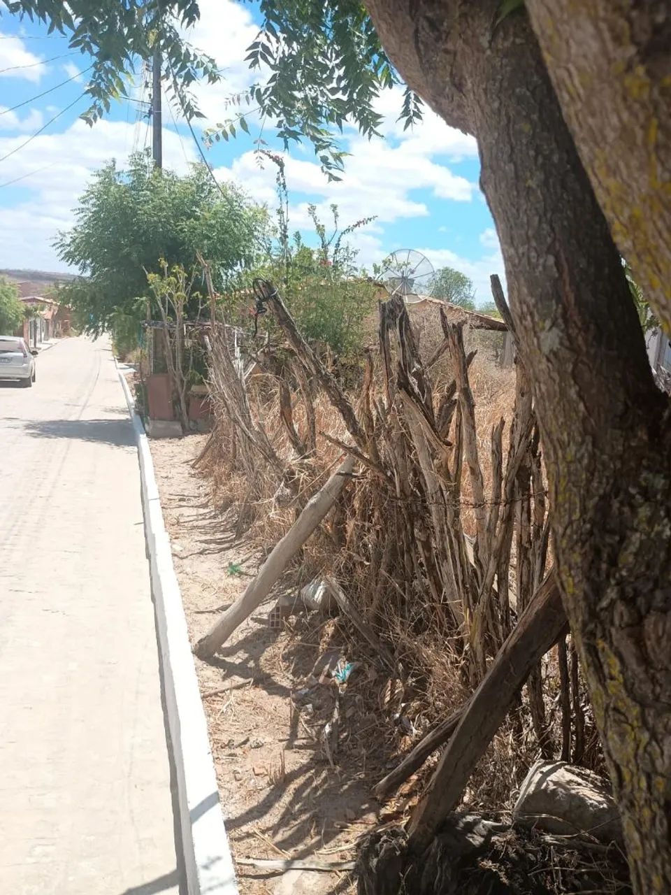 Terreno próximo ao Rio São Francisco. - Foto 3