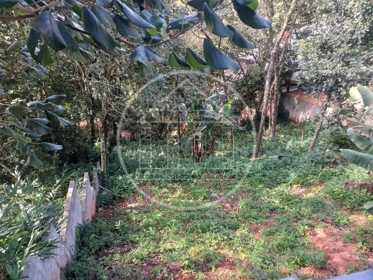 Terreno à venda em Samambaia - Mairiporã/SP - Foto 3