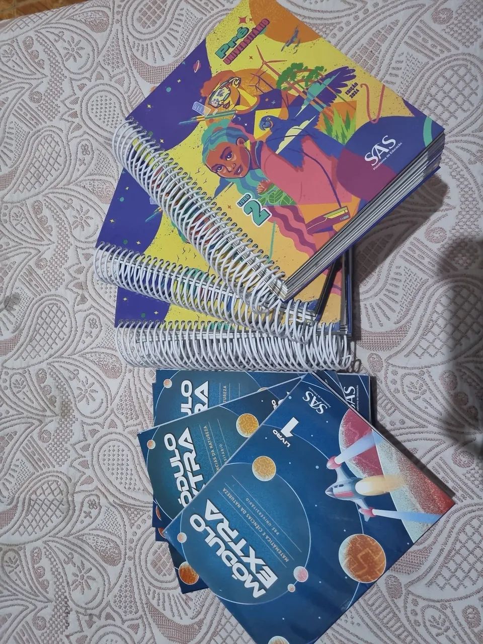 Livros sas