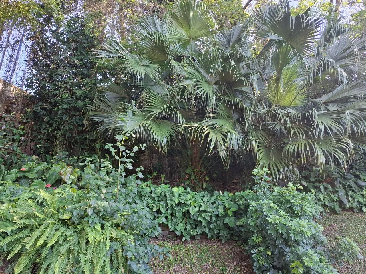 Lindo apto excelente localização amplo é um verdadeiro clube Otimo preço  - Foto 5
