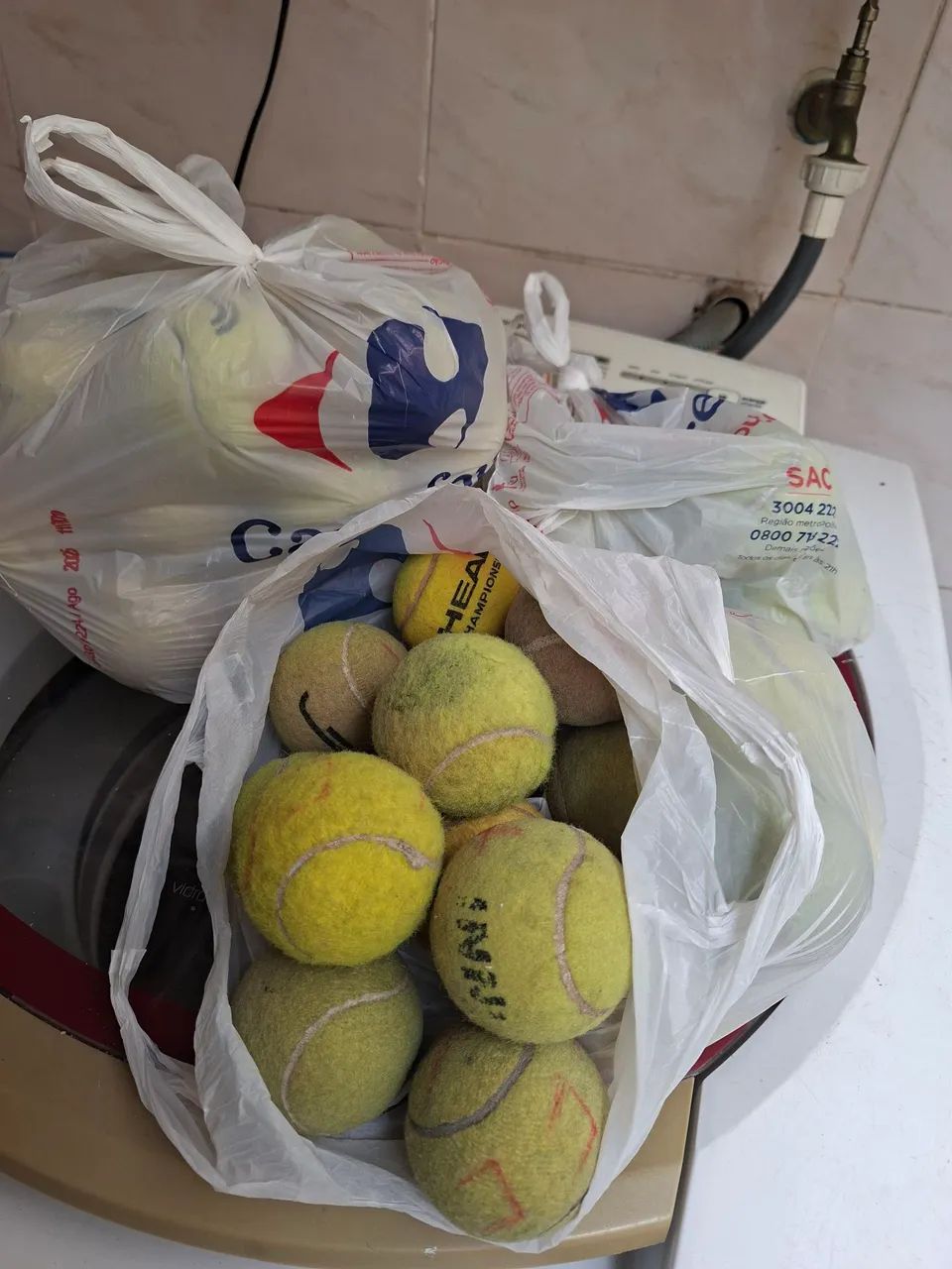 Bolinhas de tênis usadas para pets