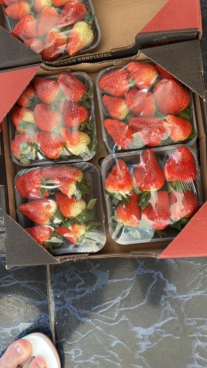 Morango - Foto 3
