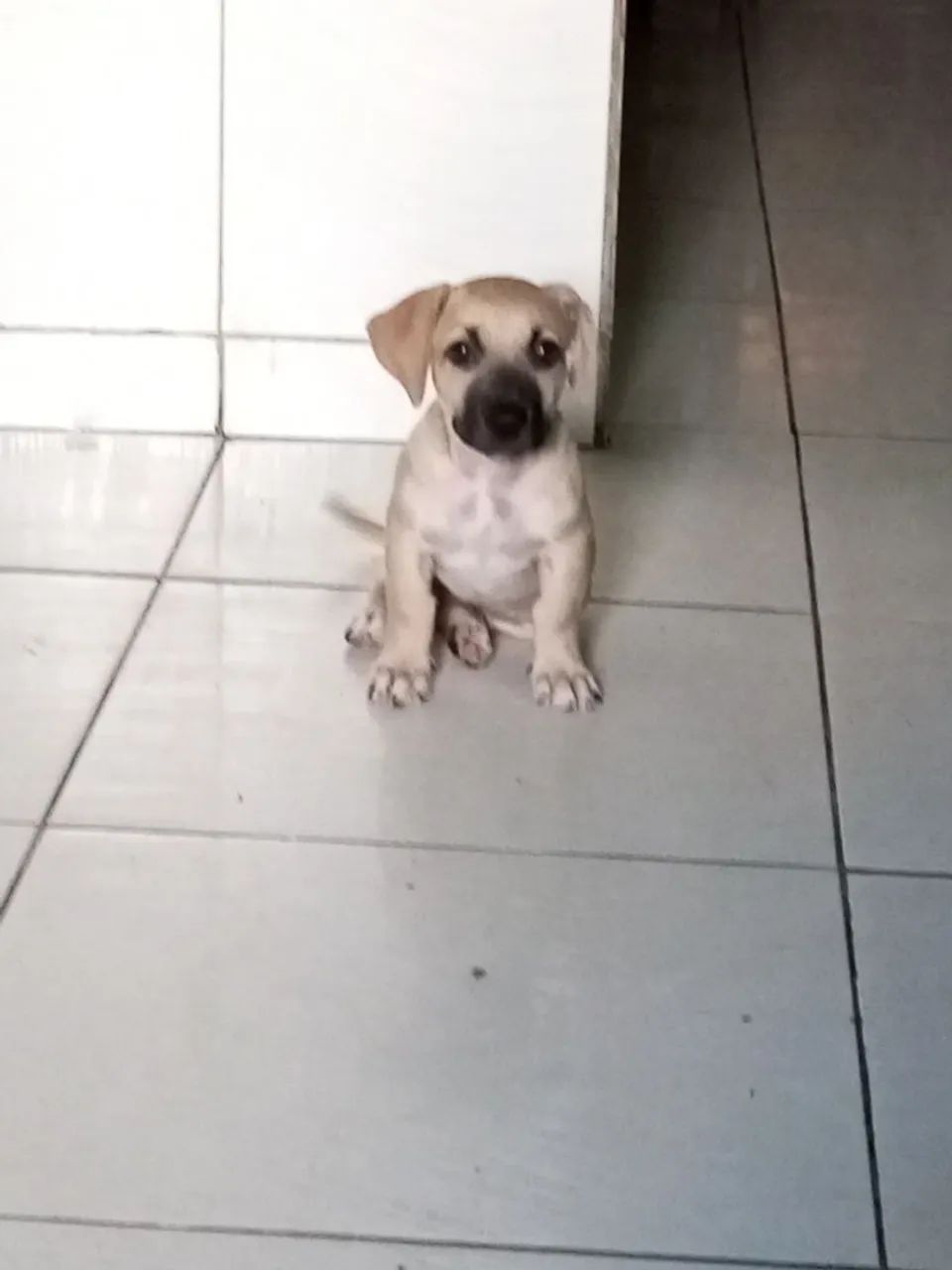 Venda  - Foto 2