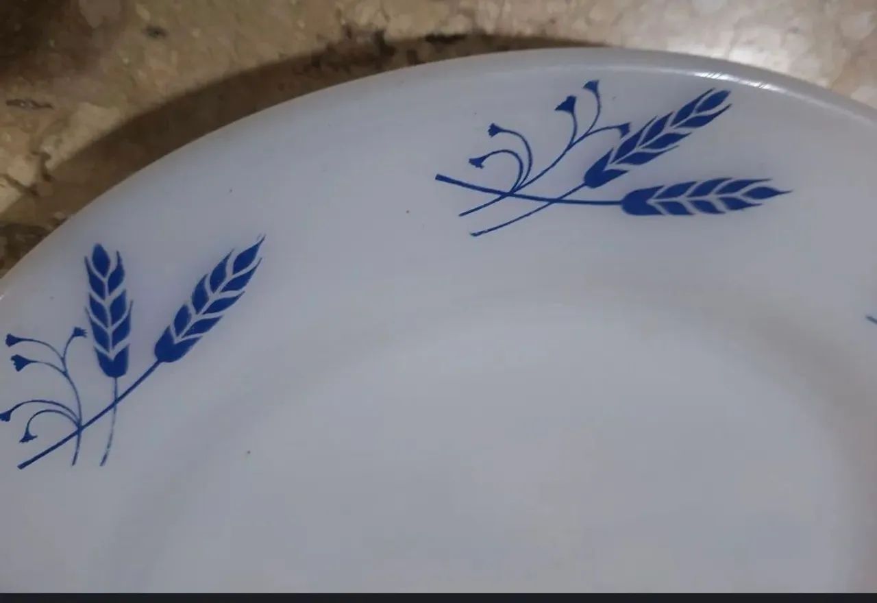 Pratos Termo-rey  - Foto 4