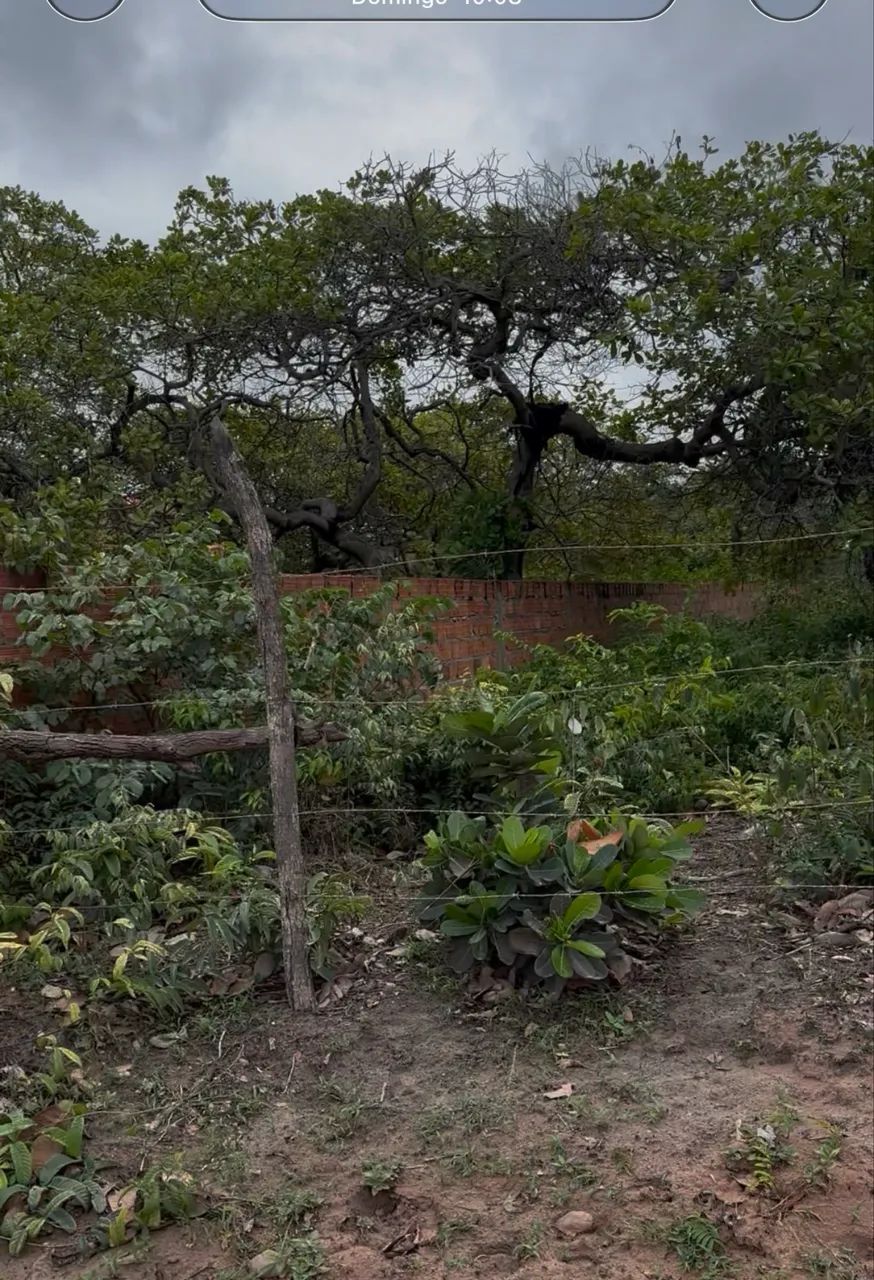 Terreno  em santo Amaro  - Foto 2