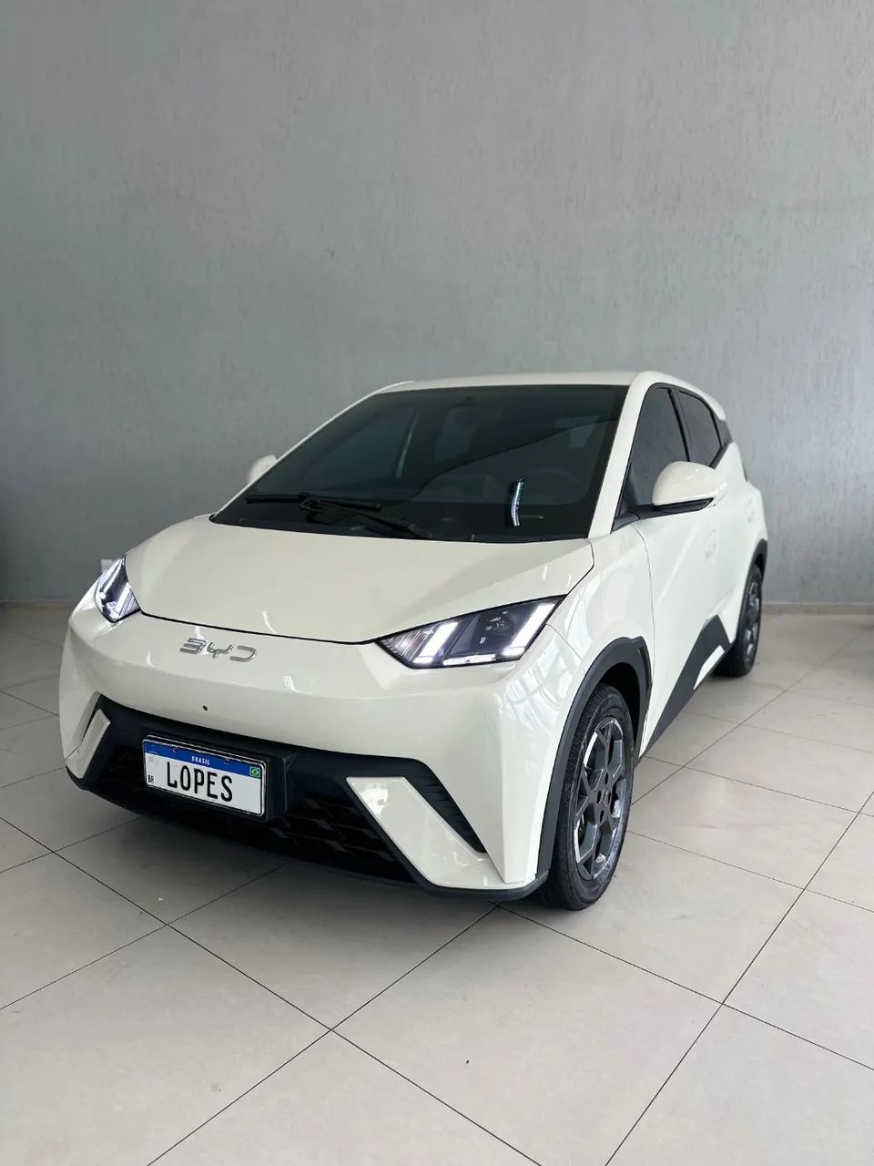 BYD Dolphin Plus (Elétrico) 2026 - Foto 3