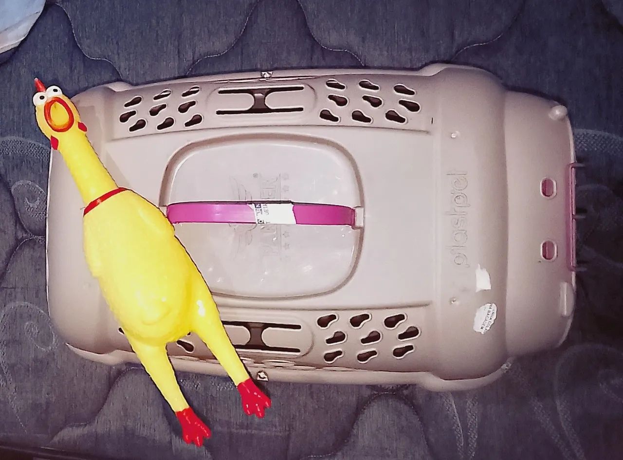 Caixa transportadora para pet + Galo de brinquedo. - Foto 3