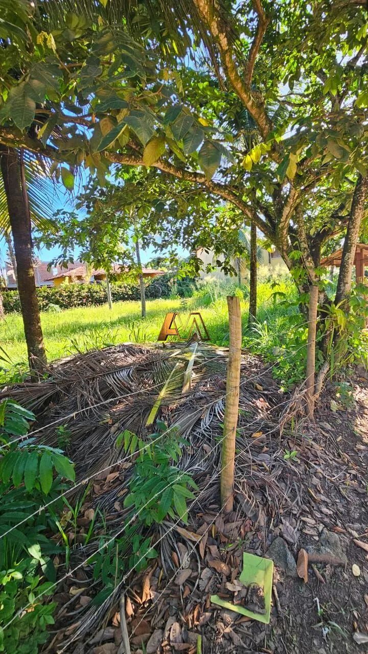 TERRENO CERCADO EM BARRA GRANDE - Foto 3