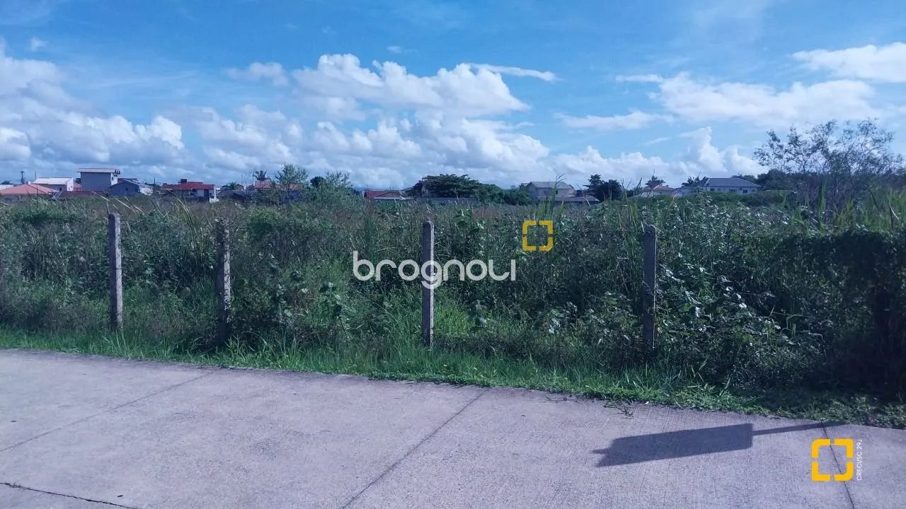 Vendo terreno com 10.911,15m² no Carianos - Foto 5