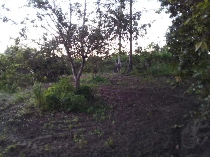 Sítio no Açu - Foto 5