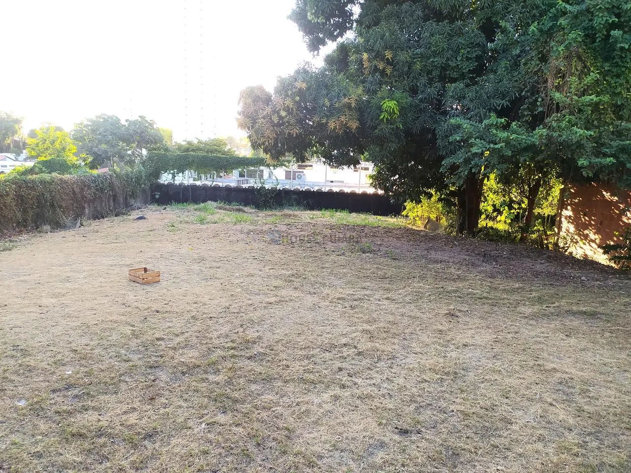 Excelente Terreno Bairro Goiabeiras - Foto 4