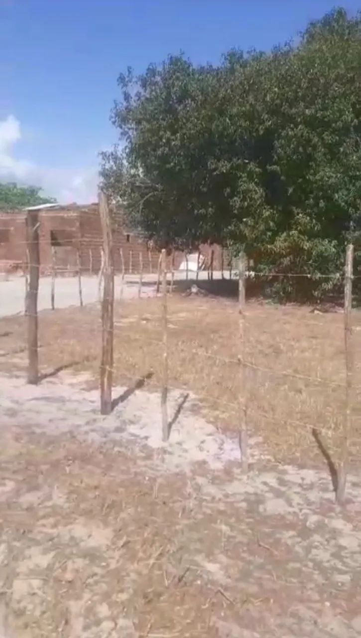 Terreno  - Foto 2
