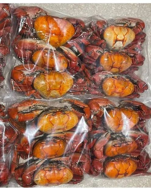Caranguejos limpos e pré cozidos  - Foto 3