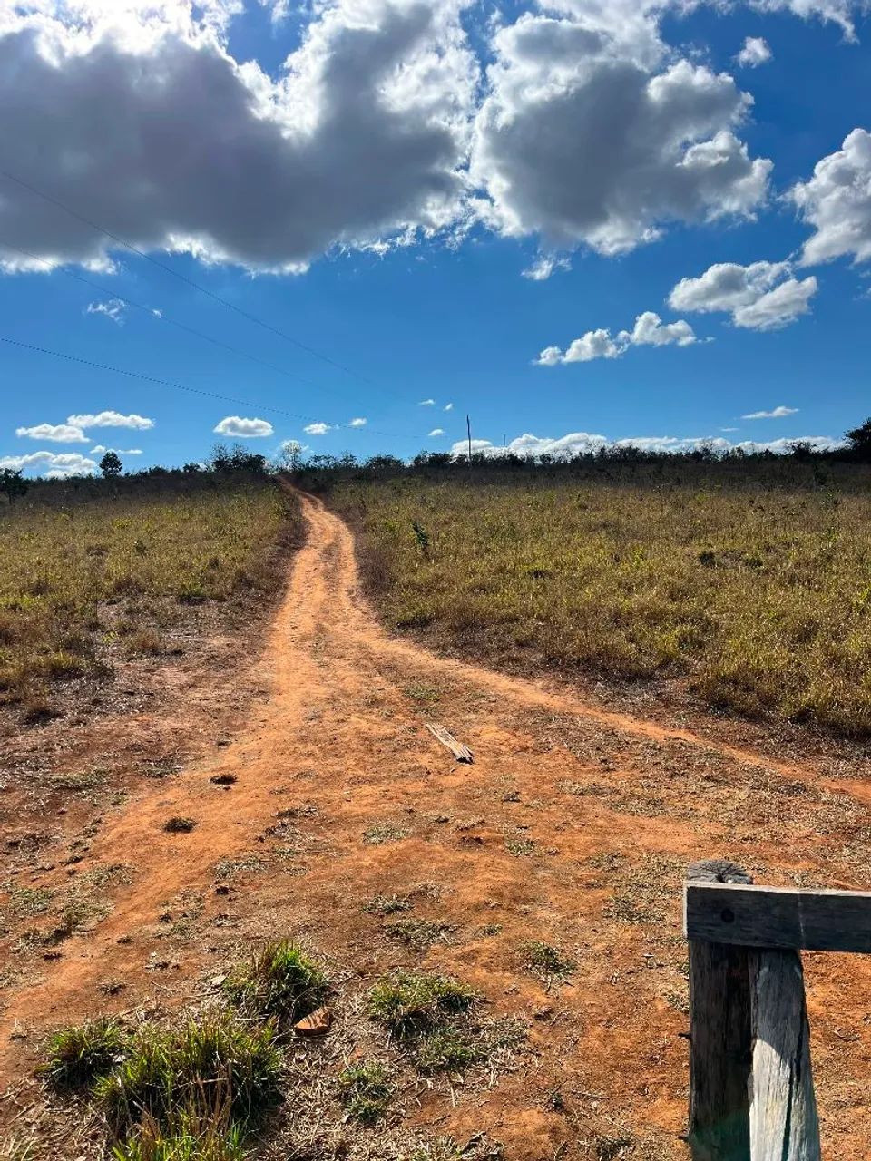 Sítio a Venda, 25 hectares! - Foto 5