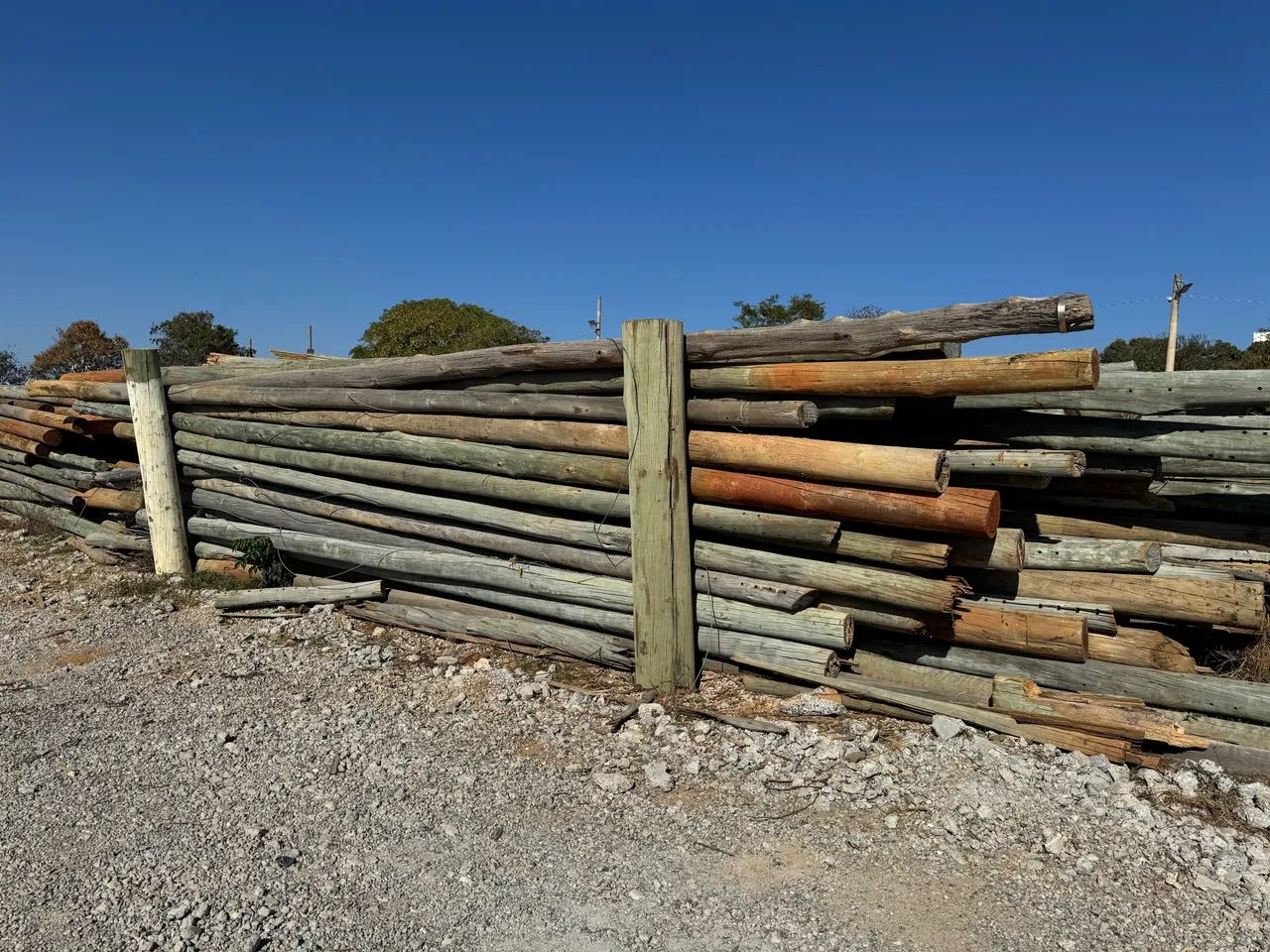 Postes de Eucalipto  - Foto 2