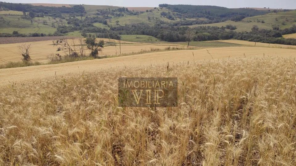 ZONA RURAL - ABATIA PR - Foto 2