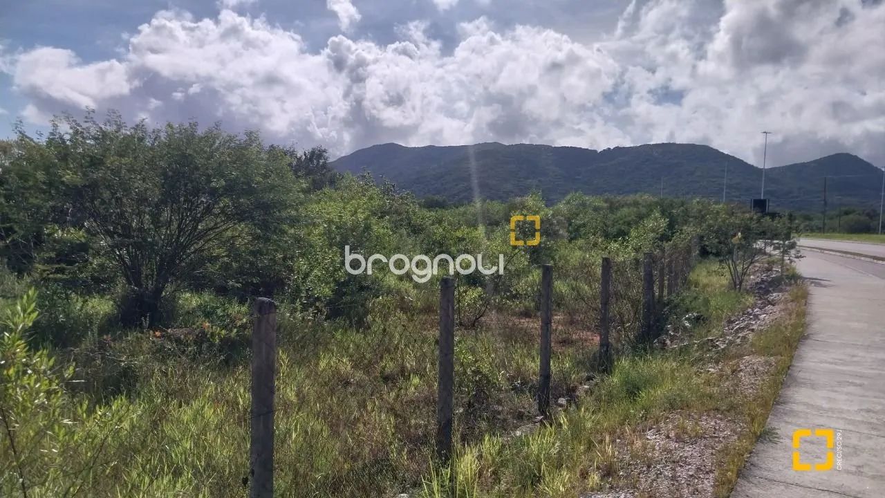 Vendo terreno com 10.911,15m² no Carianos - Foto 3