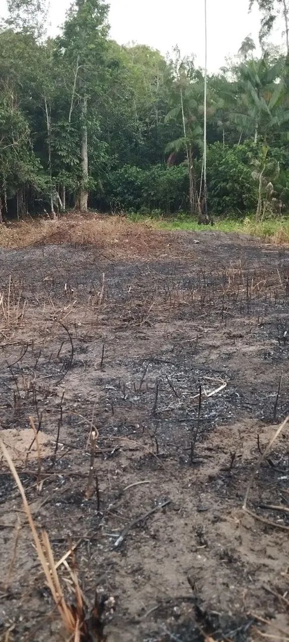Terreno com igarapé 