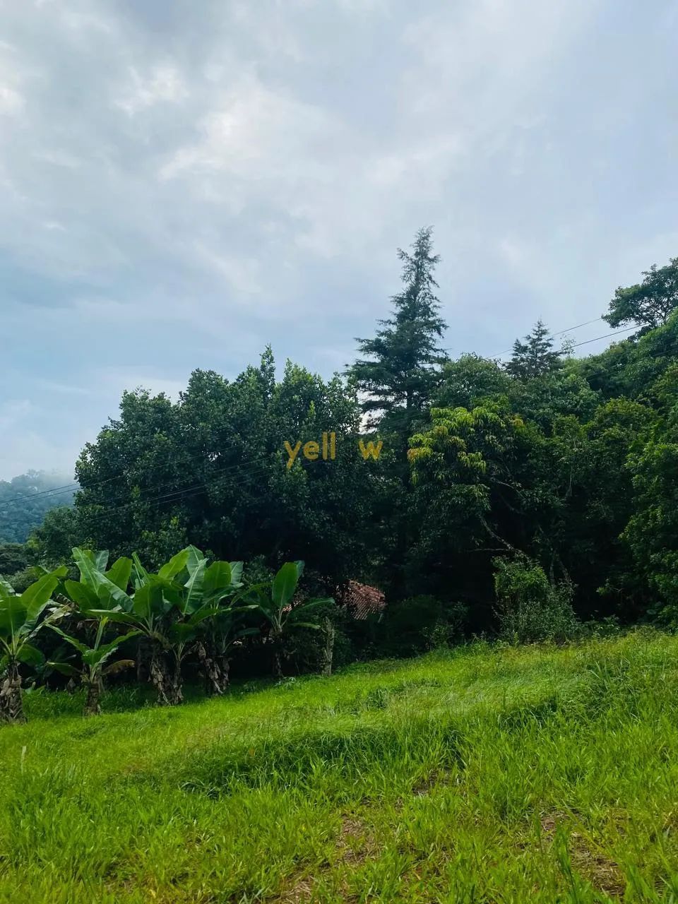 Sítio em Mirante - Arujá - Foto 2