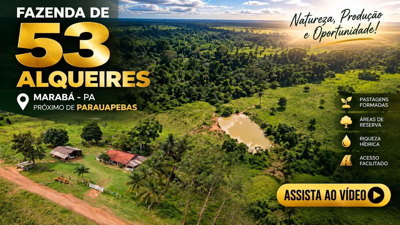 Fazenda 53 alqueires 