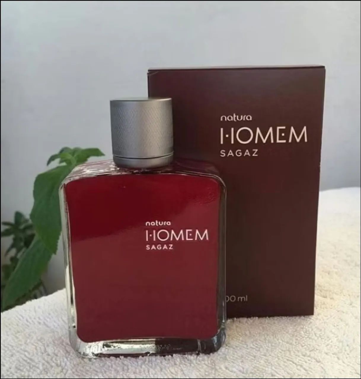 Homem sagaz natura