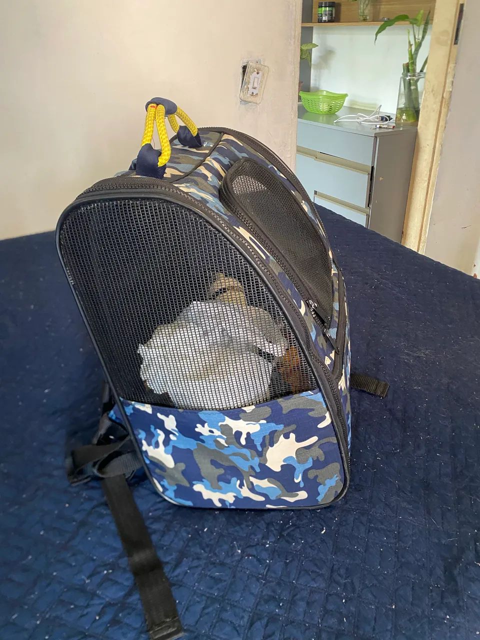Bolsa para pet São Pet  - Foto 5