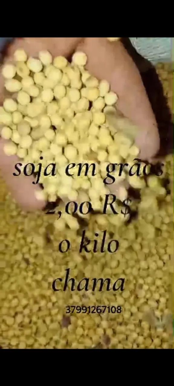 Soja em grãos