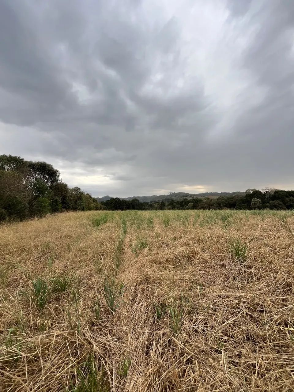 Chácara a venda , 150 mil 