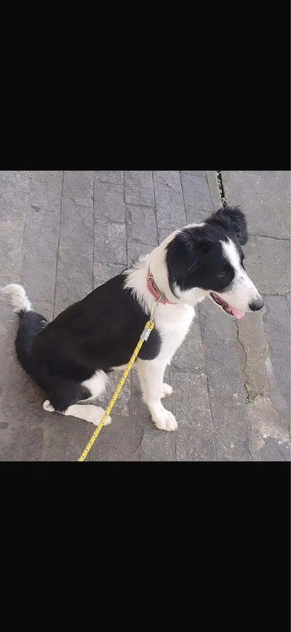Doação  - Foto 2
